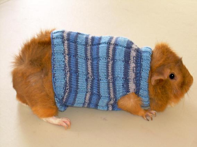 Nicholas' Sweater