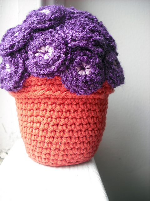 The Flower Pot Series 01: Mums