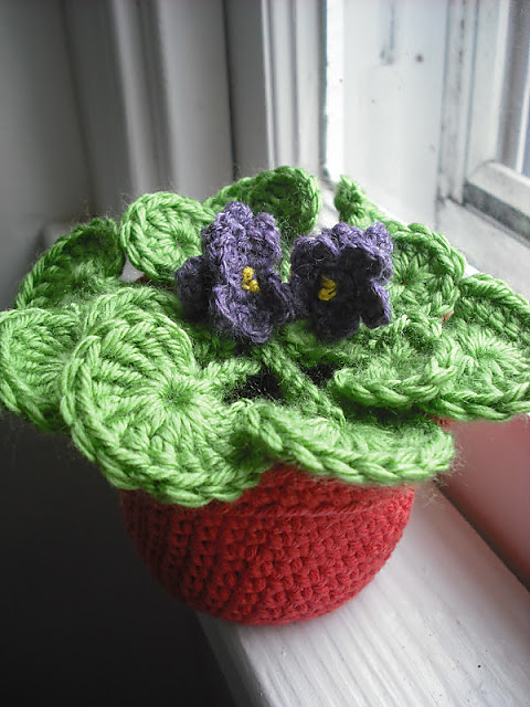 African Violets Flower Pot