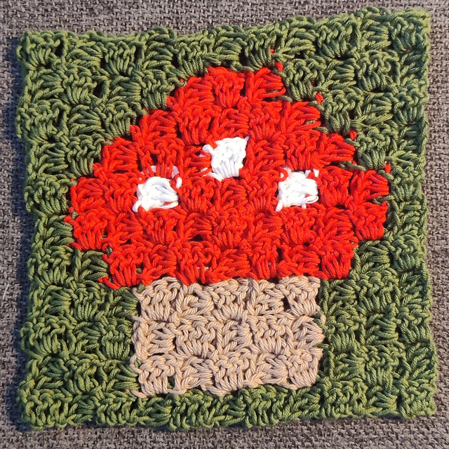 C2C Fluesvamp