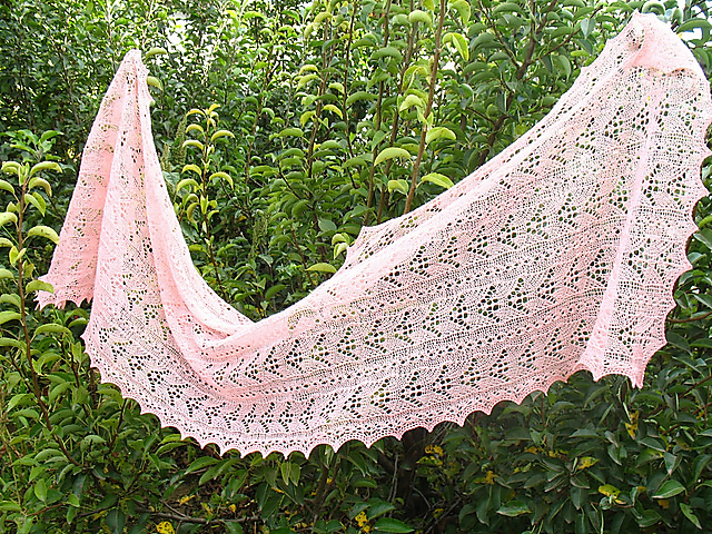 Narcissus Shawl
