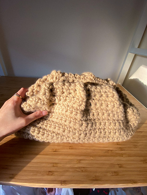 The Iconic Pouch Bag