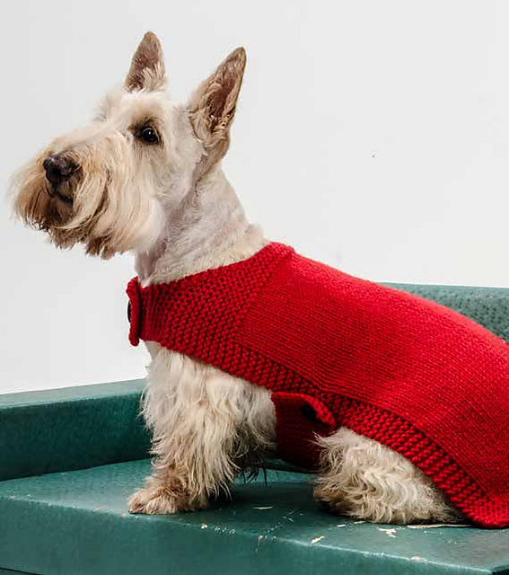 Dog Sweater