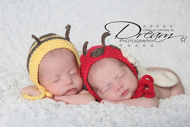 Bumble Bee & Ladybug Set