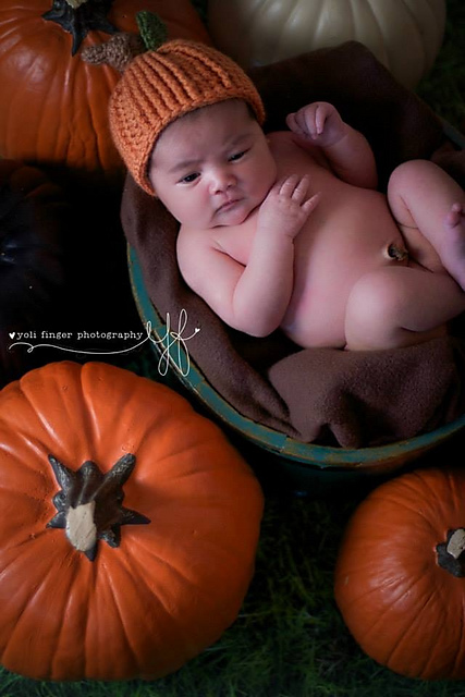 Fall Top-Knots: Pumpkin, Apple, Acorn, Candy Corn