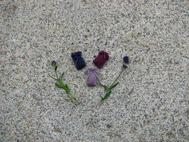 Lavender Lovelies