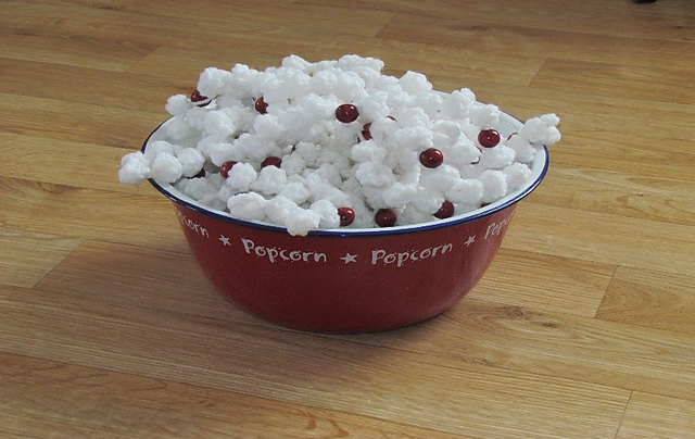Popcorn & cranberry garland
