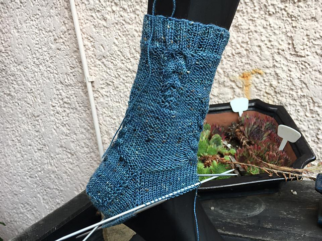 Socks Farn