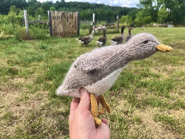 Knit Bird