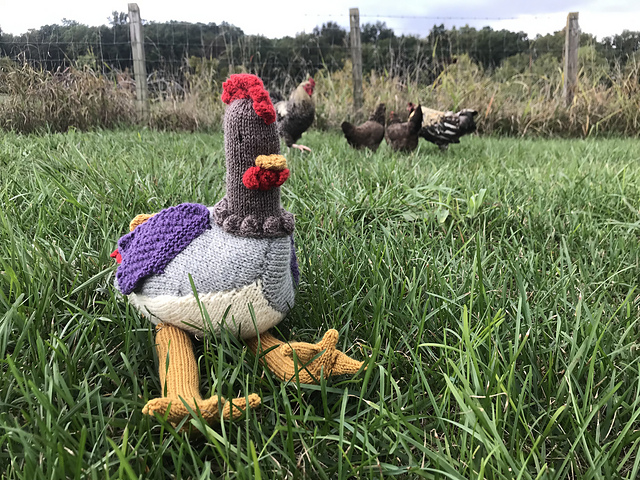 Ravelry: Life Size Chicken pattern by Quiet Life Farm