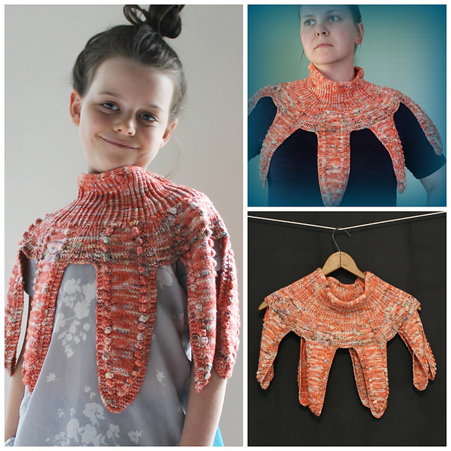 Octopod Shawlette