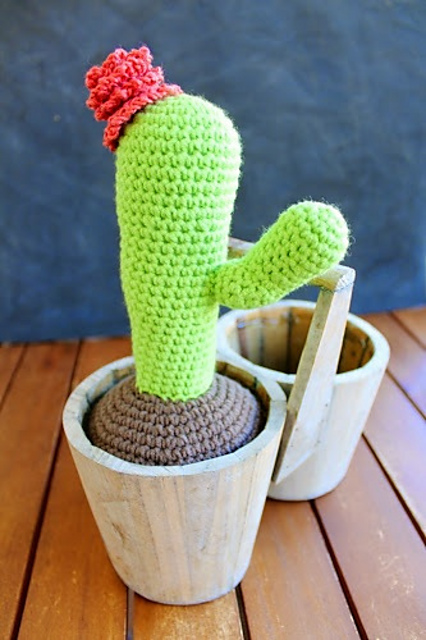 Cactus #1