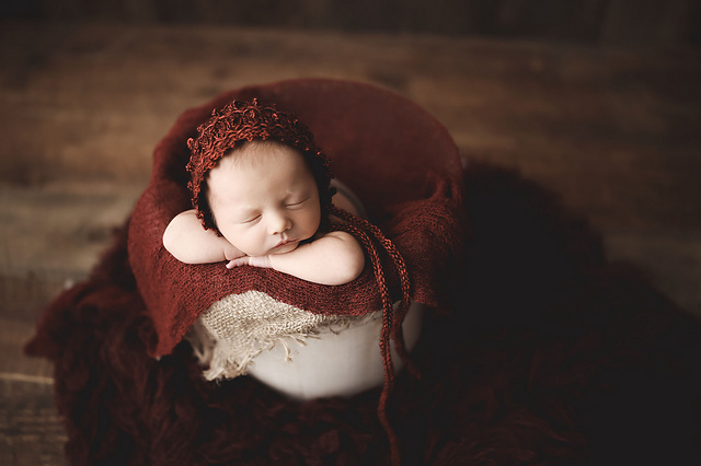 Winter Berries Newborn Bonnet