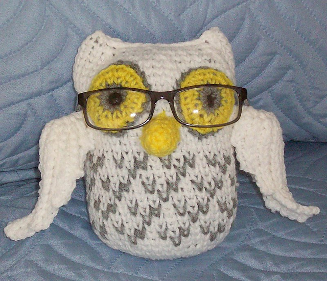 Owl Pillow & Eyeglass Holder