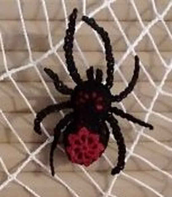 Spider & Spiderweb