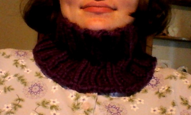 Hometown USA Neckwarmer