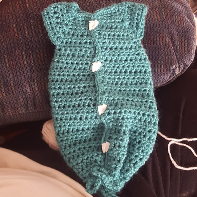 Angel Baby Bunting Gown