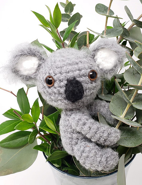 Kai the Koala