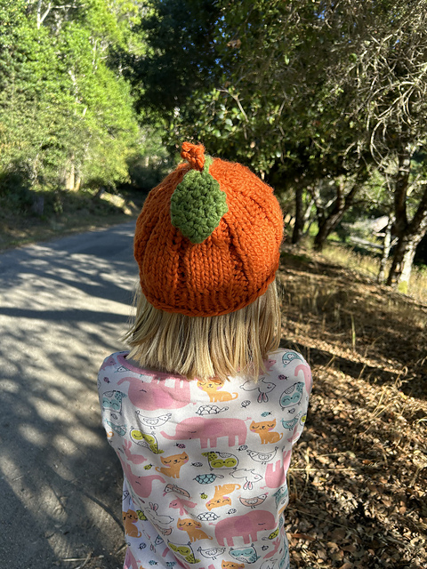 Pumpkin Patch Beret Kids