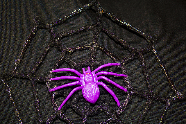 Spider Web Barrette