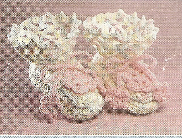 Angel Baby Set:  Booties