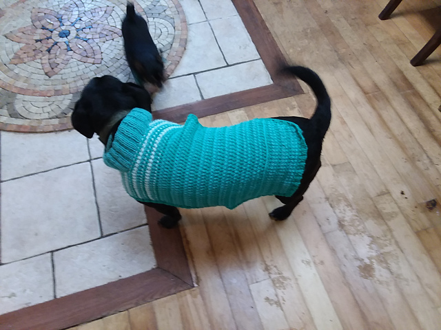 Christmas Dog Sweater