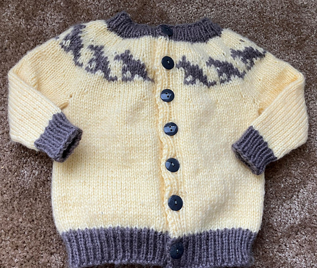 Kangaroo Cardigan - 6-12mos