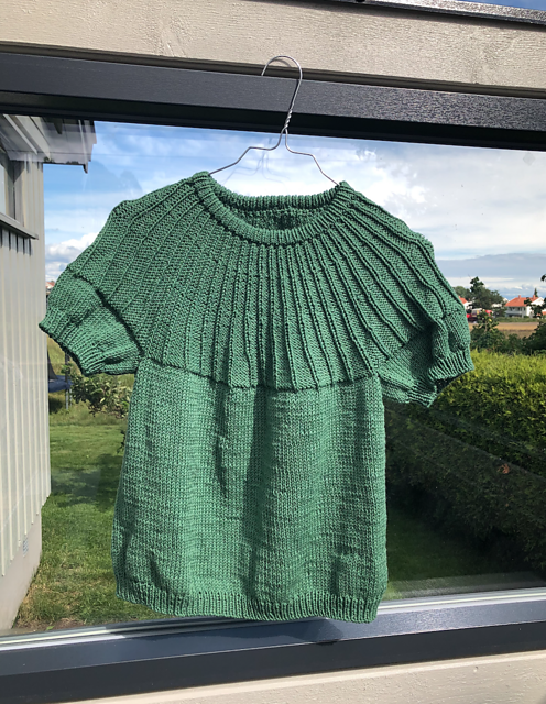 Timotei tee jr