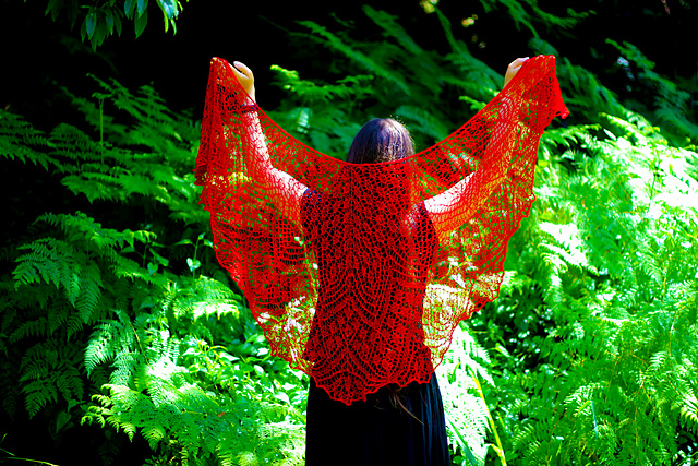 Dawn Chorus Beaded Lace Shawl