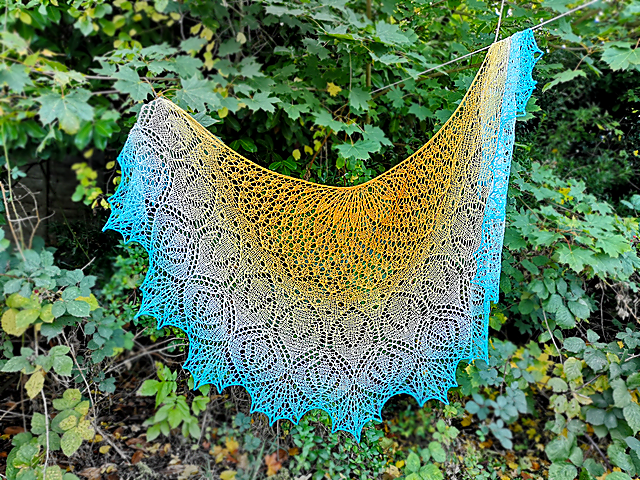 Venus Verticordia Shawl Lace