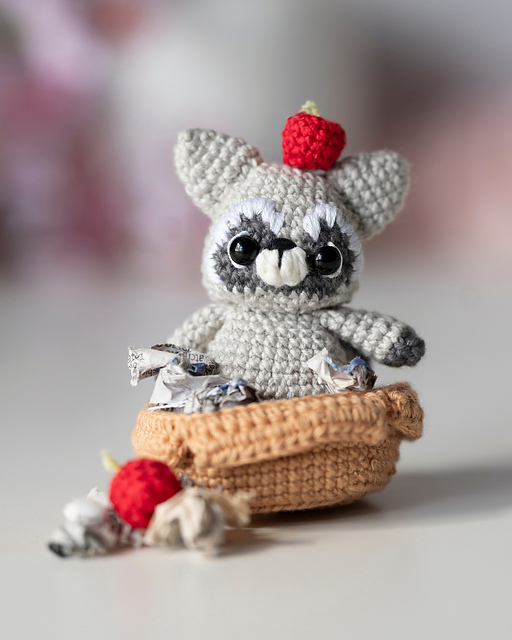 Cozy Racoon & Accesories