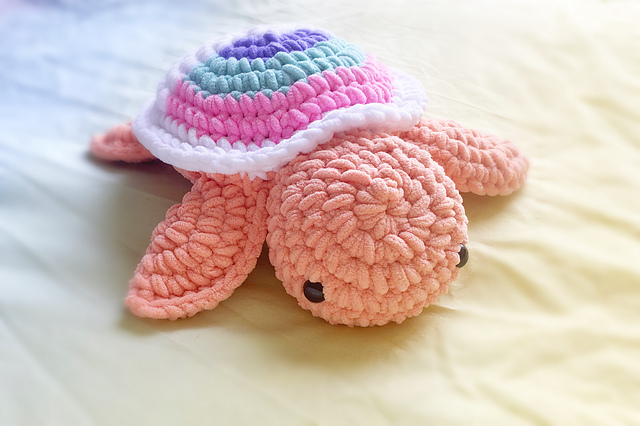 Rainbow Turtle