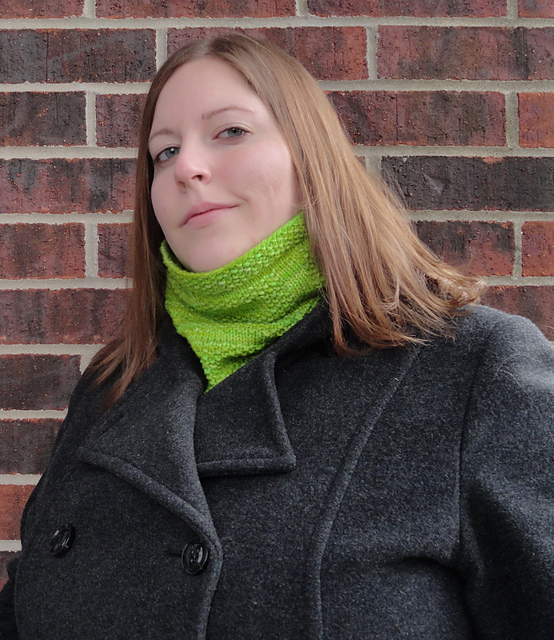 Window Panes Cowl