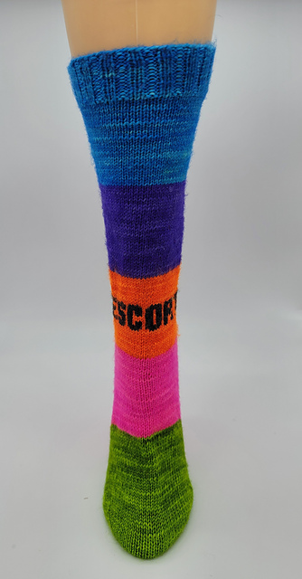 Clinic Escort Vest Sock Grid
