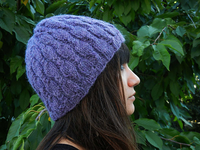Wisteria