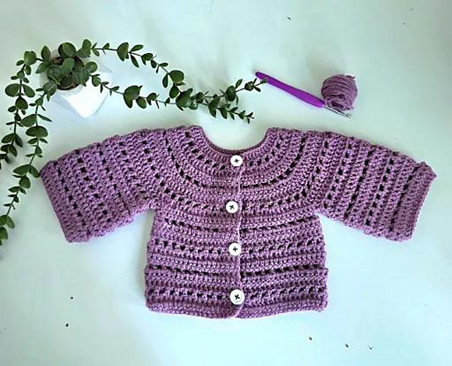 Round neck Crochet Mesh Cardigans