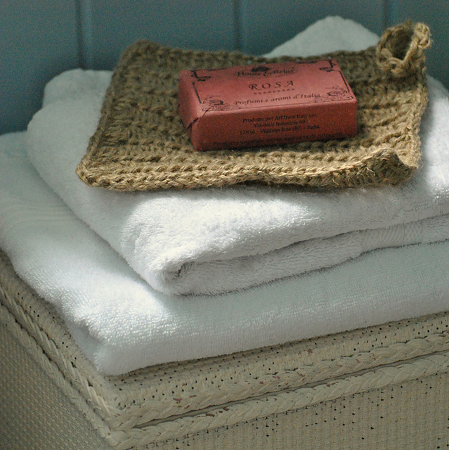Bathroom body mitt