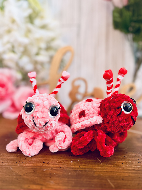 Valentine Love Bug