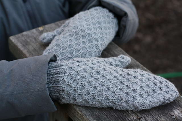 Beekeeper Mittens