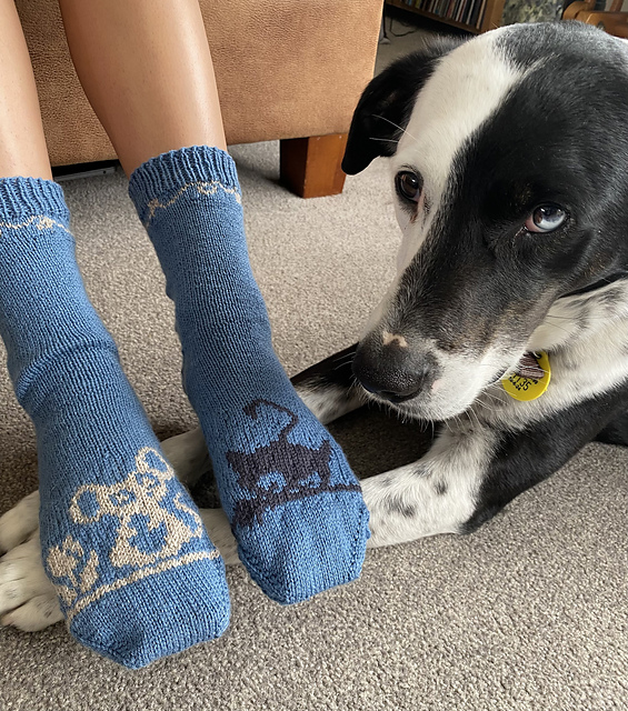 cat n mouse socks