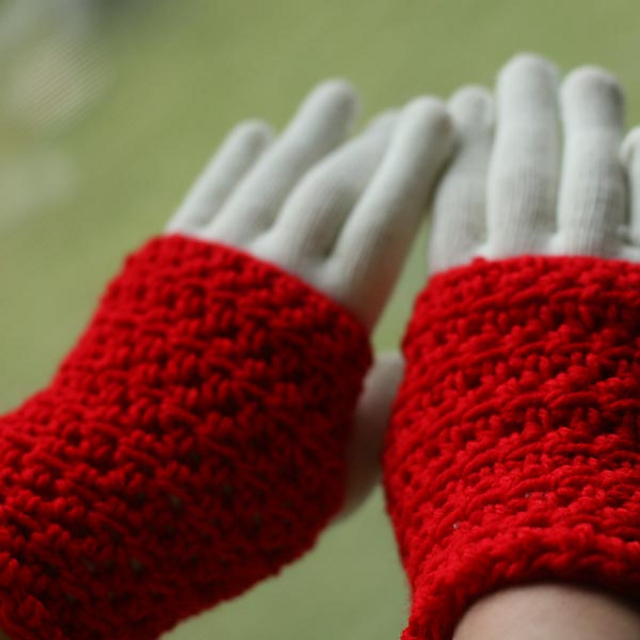 Simple Fun Fingerless Gloves