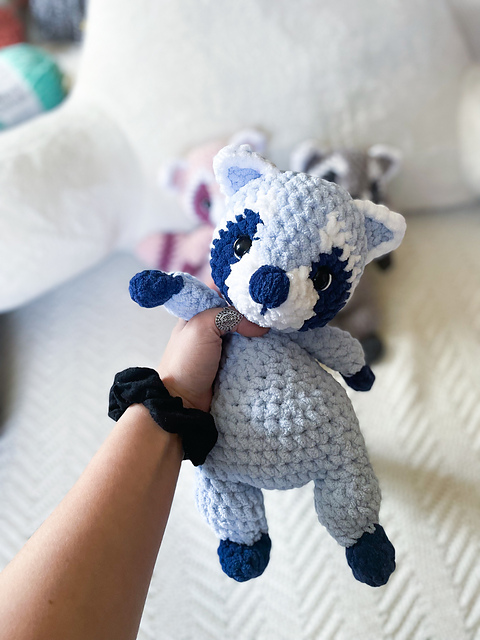 Riley the Raccoon