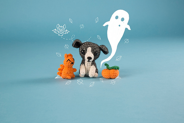 Border Collie Puppy