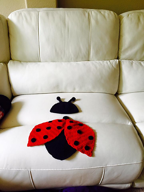 ladybug