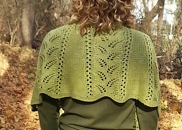 Beyond the Forest Gate Shawl