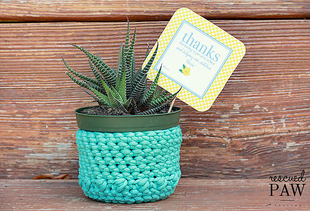DIY Plant Holder