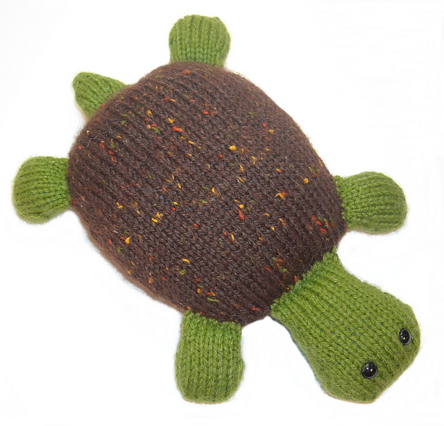 Molly the Traveling Turtle