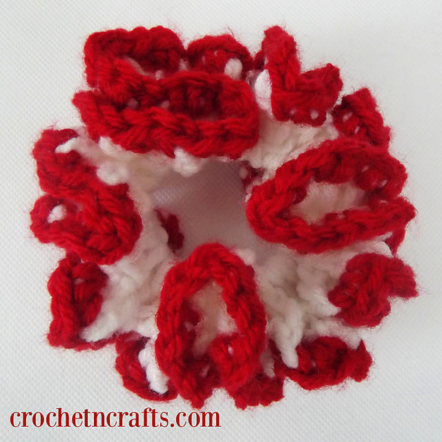 Hair Scrunchie