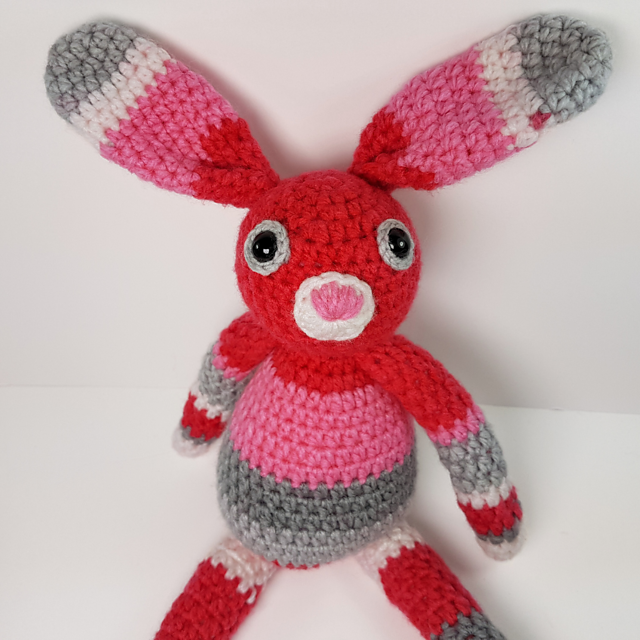 Our Little Bunny