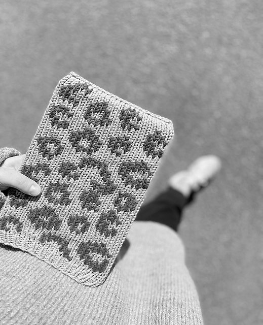 Leo iPad Cover